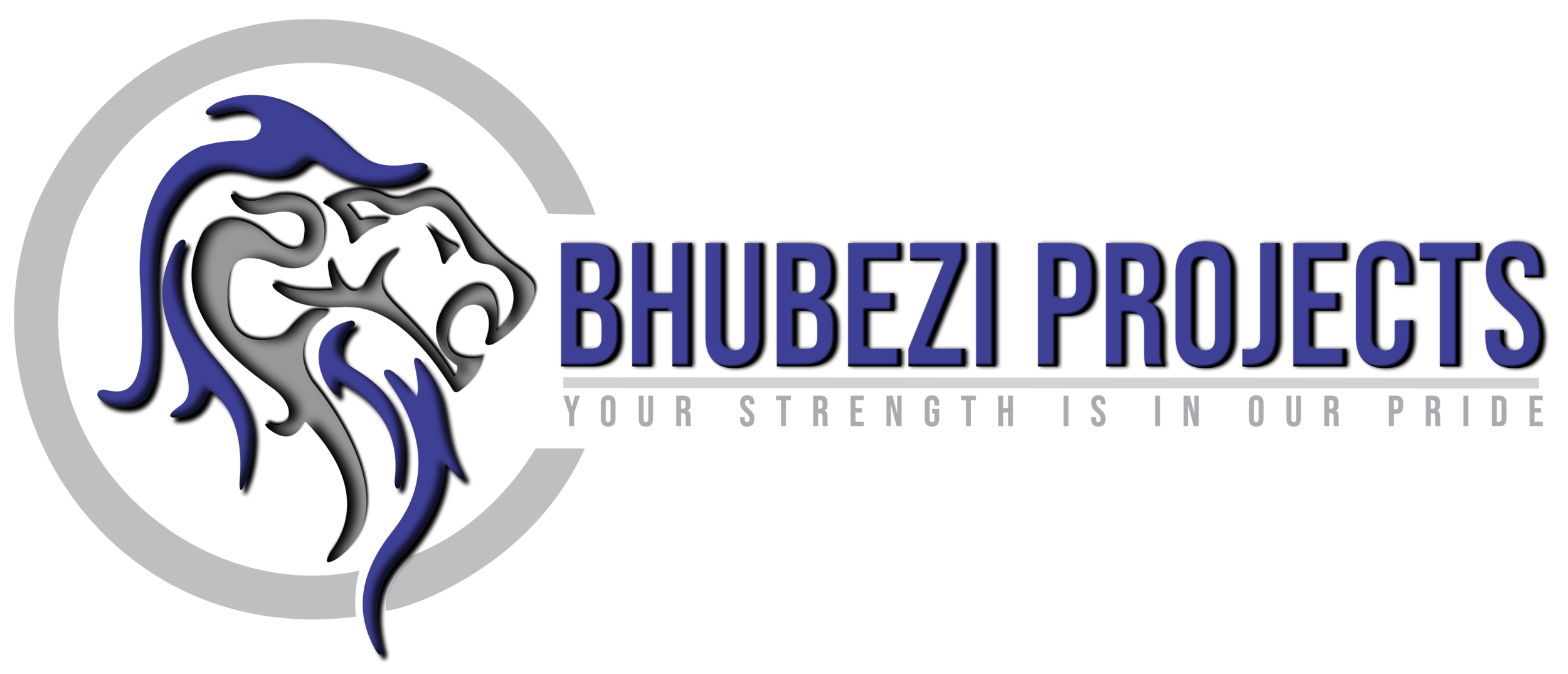 Bhubezi+3D+Logo